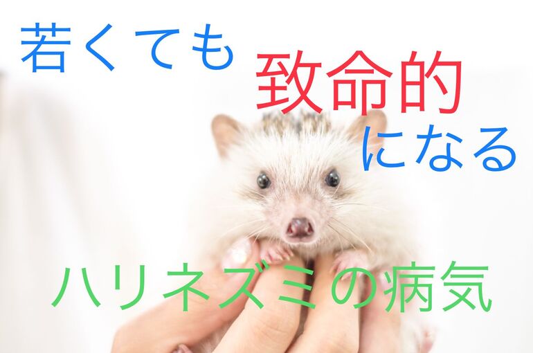 89B29AAE-4CE6-434C-AE68-EB12AB384B01