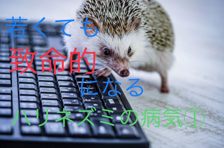 8130074A-0B7F-42B7-B3A6-5CF54549628D