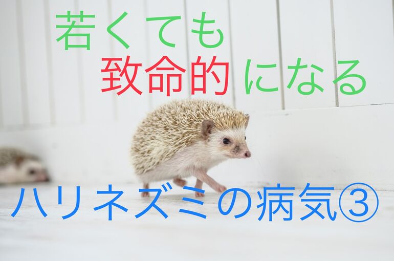 29C0F515-8099-441B-8517-E22684AE3E68