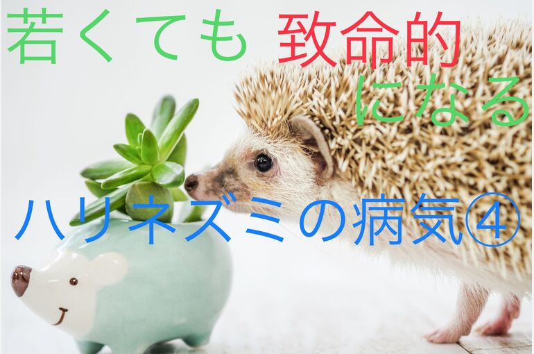 3BD87976-BA02-4296-AE1A-CF869BD0EDDD